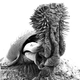 Illustration for article titled Does Sexual Reproduction exist to Limit Genetic Diversity rather than to Increase it?